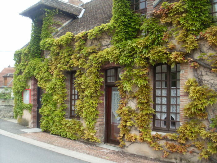 Le Saint Hilaire M.GRIFFE Joel