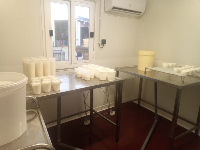 Les Chèvres de Sophie ©Sophie Lockyer