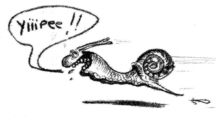 logo escargot.jpg