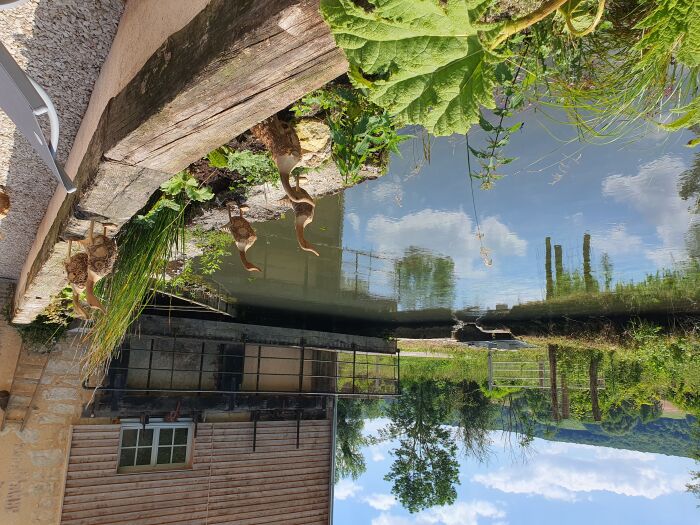 Le Moulin de Saint Benoist  (30).jpg Tabéa Posteaux