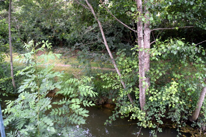 DSC_0066.JPG Bérangère Beaurin