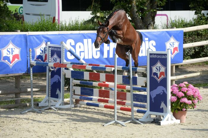 conours males 2 ans cluny photo de Pinel Pauline.jpg