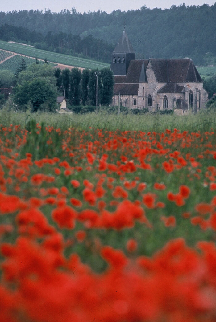 Eglise Saint-Denis.jpg