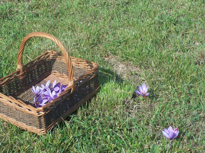La ferme du charme du moulin.jpg La ferme du charme du moulin