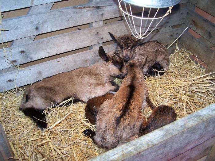 La ferme du charme du moulin.jpg La ferme du charme du moulin