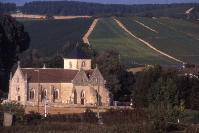 Eglise Saint-Loup de Troyes.jpg