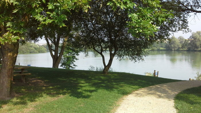 20140723_085218.jpg otoa
