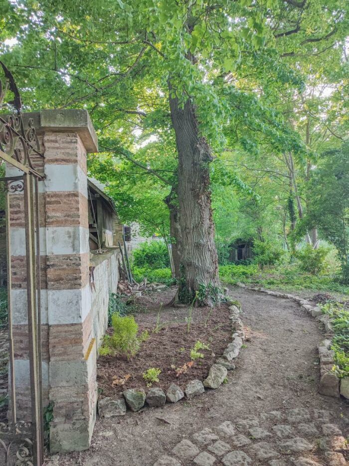 Maison Paloma - Luyères - Crédit Gîte de France (23).jpg Maison Paloma - Luyères - Crédit Gîte de France