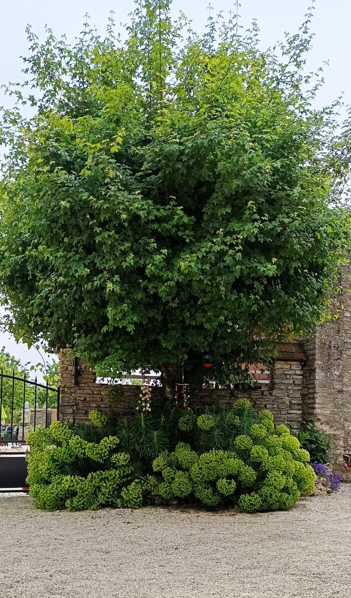Gîte des Loups.jpg ©Bérangère Beaurin