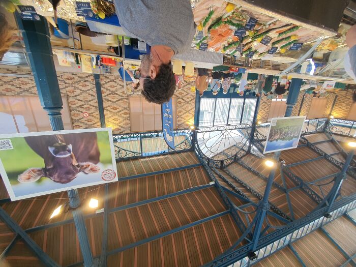 Marché Aix-en-Othe CP Tabéa Posteaux (2).jpg Tabéa Posteaux