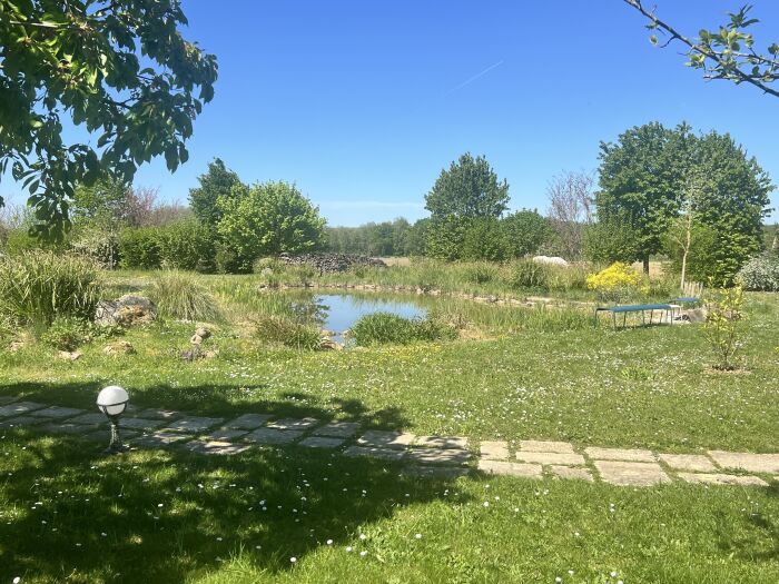 8 - Vue sur le jardin et le bassin.jpg LaMelinothe
