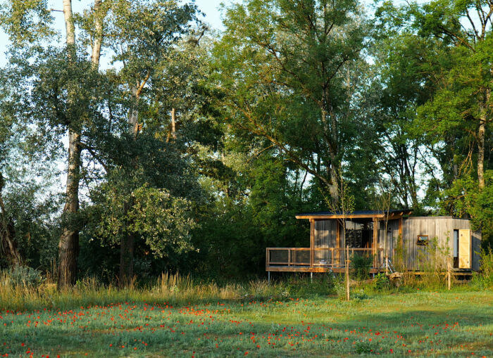 Cabane dans les bois en Champagne ©-NUTCHEL.jpg Cababe dans les bois en Champagne ©-NUTCHEL.jpg