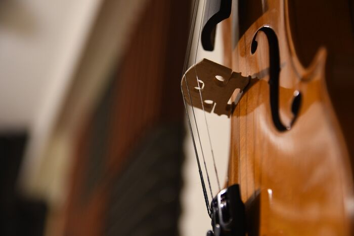 violin-5818267_1280.jpg © MAGstd - Pixabay