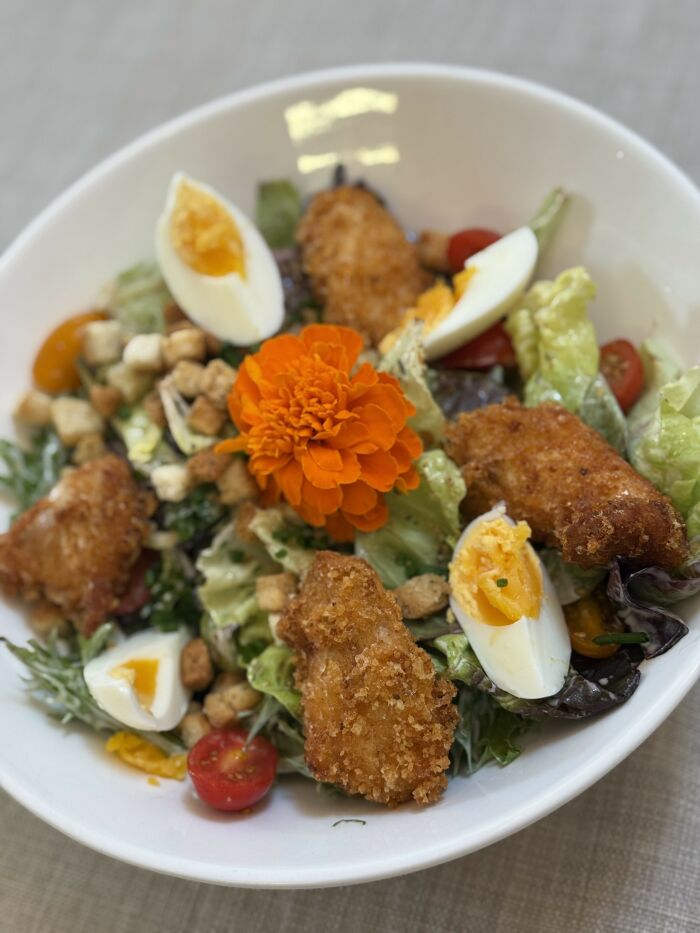 Le Petit Champenois_Lusigny-sur-Barse Le petit champenois - E. Trautmann