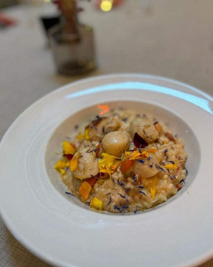 Risotto Saint Jacques.jpg © G.G & E.T / Le Petit Champenois