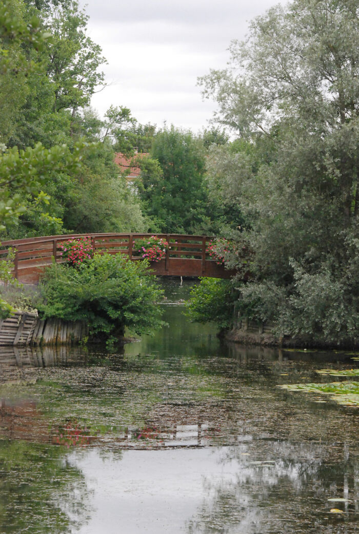 Parc Pierre Pitois (Parc des étangs de Fouchy)