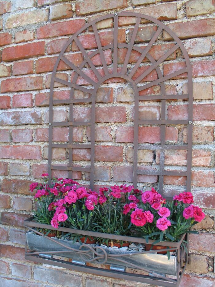 13 Fleurs.JPG Le Gîte de la Plaine